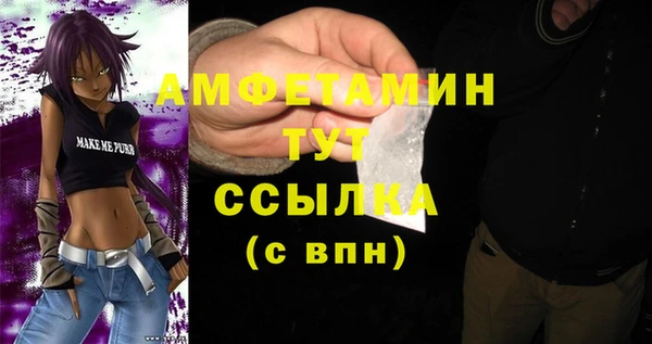 индика Беломорск