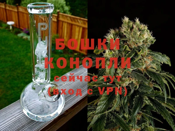 СК Белокуриха