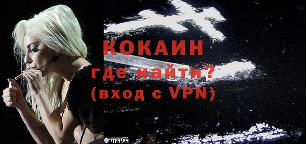 индика Беломорск