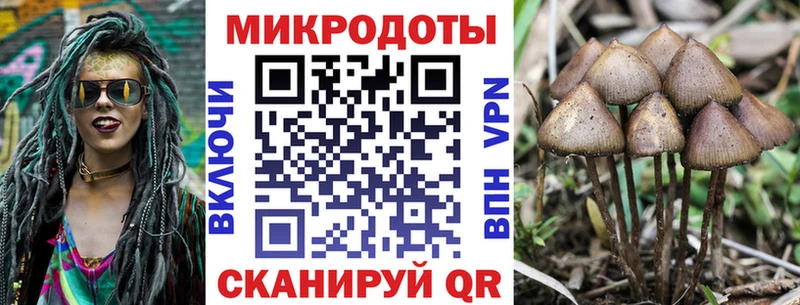 купить закладку  Томмот  ОМГ ОМГ ССЫЛКА  Галлюциногенные грибы MAGIC MUSHROOMS 